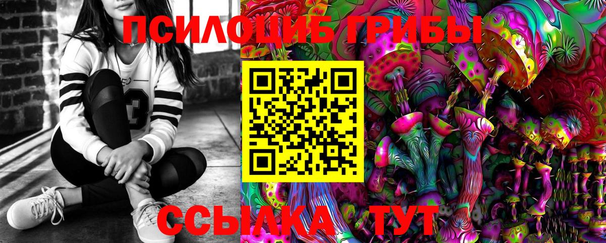 Псилоцибиновые грибы Psilocybine cubensis  Псилоцибиновые грибы ЛСД  Вход с VPN  Черкесск 
