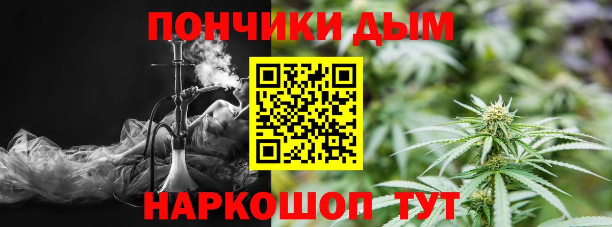 Бошки Шишки семена Черкесск